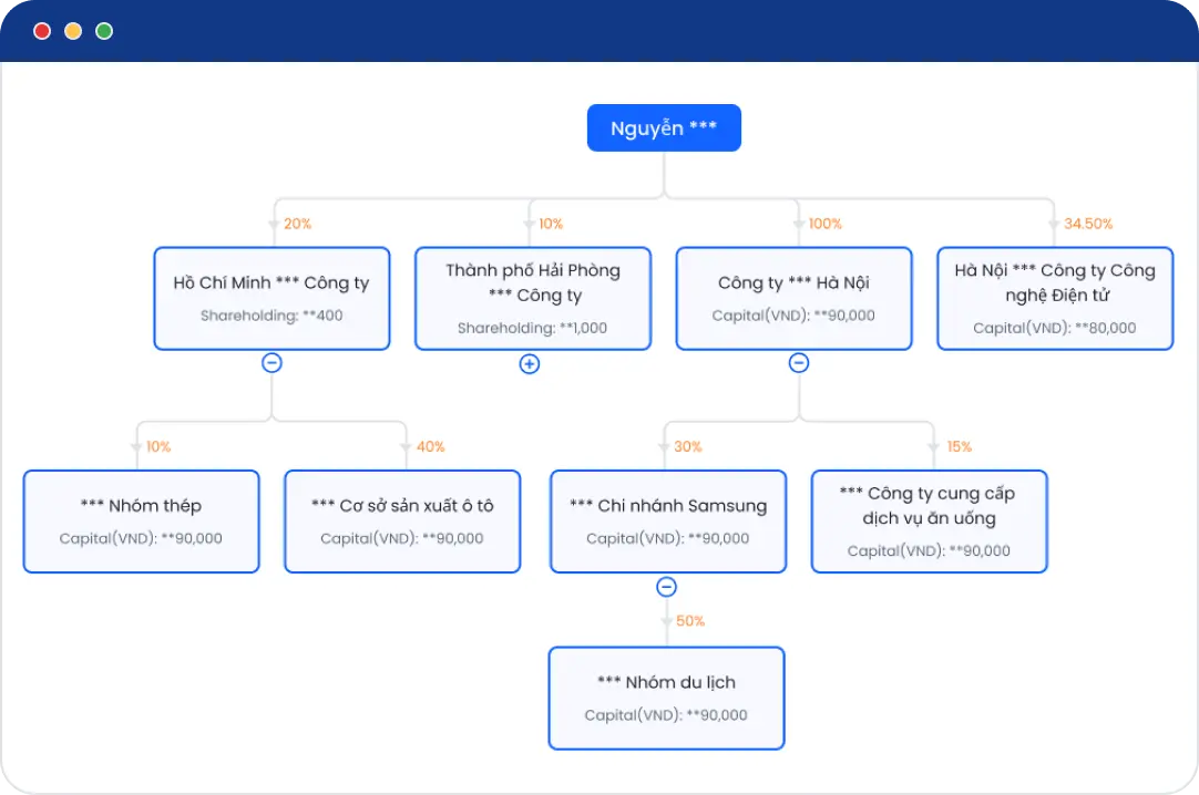 VN More - 越南公司数据库 公司简介查询 越南实体报告 KYC 系统